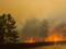 У Херсонській області триває ліквідація лісових пожеж, - ГосЧС