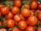 Тепличне господарство УГМК зняло відеоролик про томати