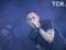 Linkin Park canceled the concert tour after the death of vocalist Bennington