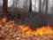 В Украине предупредили о пожарной опасности