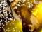 Знахідка на мільйони: рок-музикант Еліс Купер відшукав в коморі дорогу картину