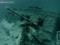 В Чёрном море дайверы обнаружили затонувшее немецкое судно