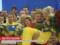 Night meeting and two declarations of love: the Ukrainian team returned triumphantly from the Deflipjipade