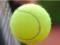 Украинские теннисистки улучшили свои позиции в рейтинге WTA