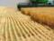 Украина уже экспортировала почти 4 млн тонн зерновых
