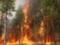В ближайших два дня в Украине сохранится чрезвычайная пожарная опасность - ГосЧС