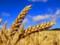 Ukrainian farmers have already harvested 37 million tons of grain
