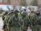 Military expert: Putin s  green men  will not be able to capture Kharkov and other cities