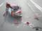 In the capital s Holosiivsky park, a motorcyclist crashed
