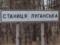 На Луганщине выявлены останки шести террористов