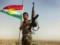 Курдистан отправил ополченцев на границу с Ираком