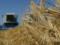 В Украине собрали 52,5 миллиона тонн зерновых