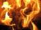 В Украине за сутки возникло 116 пожаров