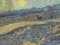 Van Gogh s picture was sold at an auction in the US for 81.3 million dollars