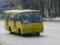 Во Львове в маршрутке умерла пенсионерка