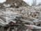В Украине скопилось пять миллиардов тонн опасных отходов