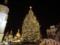 Главная новогодняя елка была отправлена в Киев