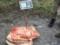 In the DNR they tried to carry 300 kg of meat