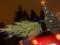 At the entrances to the capital will begin to check the car with the Christmas trees