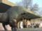 Весной завершат первый этап реконструкции столичного зоопарка
