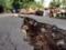 Двоє людей загинули в результаті землетрусу на Яві