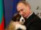 Dachshund Rogozin, Alabai Putin and Labrador Makron topped the rating of dogs of the outgoing year