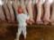 ЕС выставил России миллиардный счет за запрет на ввоз свинины