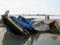 To the shores of Japan sailed a boat with corpses
