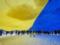 В Запорожье в День соборности развернули 25метровый флаг и протянули живую цепь через Днепр