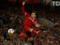  Liverpool  scored first, but flew out of the FA Cup from the outsider of the Premier League
