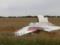 Родственники жертв MH17 выиграли суд по делу против Гиркина