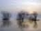 ГСЧС предупреждает о подъеме уровней воды в реках бассейна Припяти
