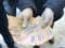 In Sambor on a bribe caught the head of the UTO - VIDEO,