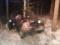 In Berezovsky the car was wound up on a tree. A man was killed