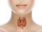 Doctors have suggested how to improve thyroid function