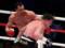 Wladimir Klitschko s fee became known in the battle with the  Russian Knight  Povetkin
