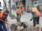 В Харькове началась весенняя высадка деревьев