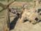 In the ATO zone, the best sniper pair was identified