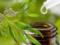Benefits of tea tree essential oil