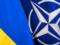 НАТО не планирует прекращать поддержку Украины, как того требует Венгрия