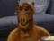 Warner Bros. took up the continuation of the series "Alf"