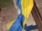 На Донбасі п яний гастарбайтер зірвав прапор України з прокуратури