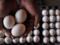 Украина резко увеличила экспорт яиц