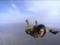 In the Landing-assault troops created a new unit - they are looking for willing to serve