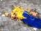 За два сожженных флага Украины львовский суд приговорил сумчанина к 6 месяцам ареста