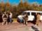 На Черниговщине полиция задержала семерых криминальных  авторитетов 