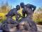 Near Zhytomyr put naked Klitschko brothers, in social networks laugh at sculpture