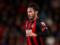 Bournemouth defender will miss up to three months