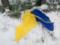 На Днепропетровщине мужчина сорвал флаг Украины и разорвал его