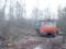 На границе с Беларусью задержаны  черные лесорубы 